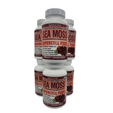 SEA MOSS "SUPERCELL" FOOD WITH BLADDERWRACK & BURDOCK ROOT - 60 Capsules